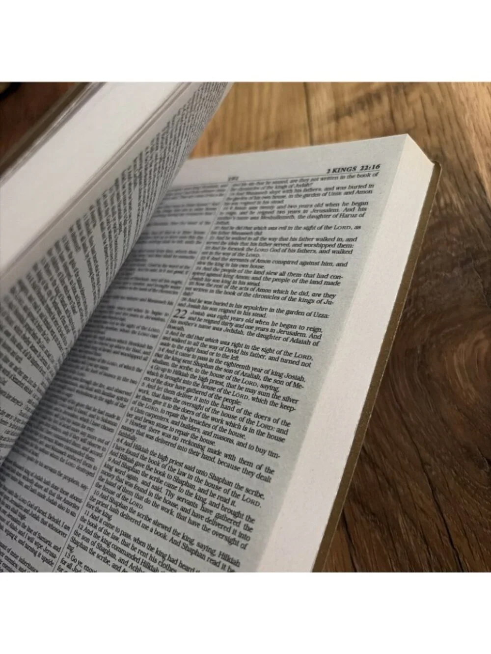 Bible black holy